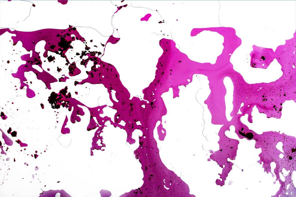 coleccion-refutar-RESURRECCIÓN