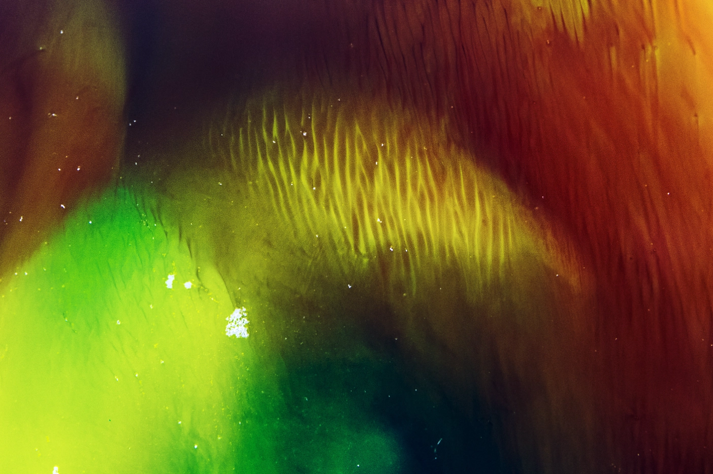 coleccion-refutar-seccion-galaxia3