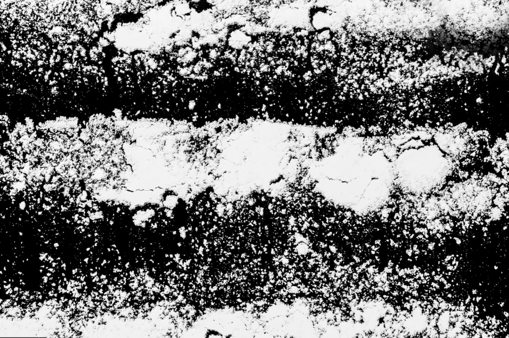 coleccion-refutar-FRÁGILES